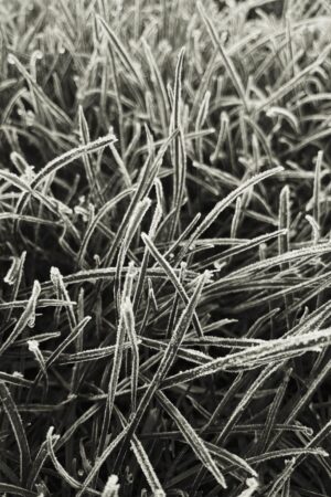 DRHl_23f_HJH.dk-IMG_6814