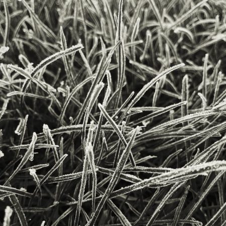DRHl_23f_HJH.dk-IMG_6814