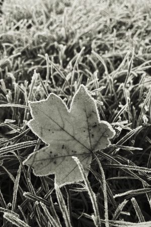 DRHl_23f_HJH.dk-IMG_6815